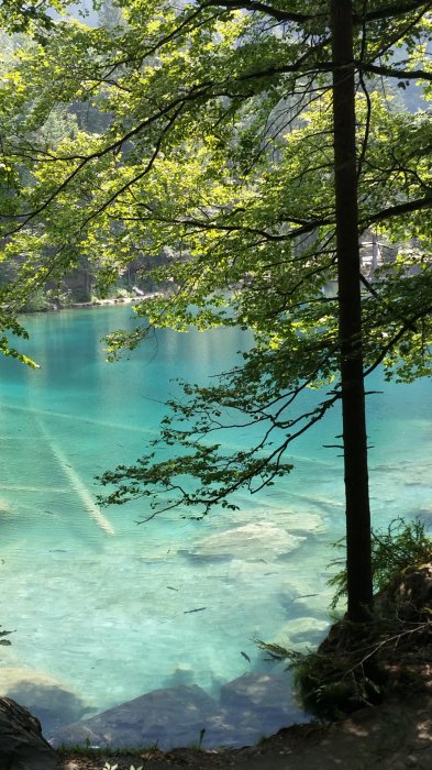 20150706_155716.jpg