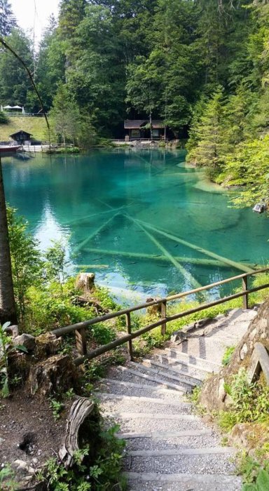 Blausee 07.jpg