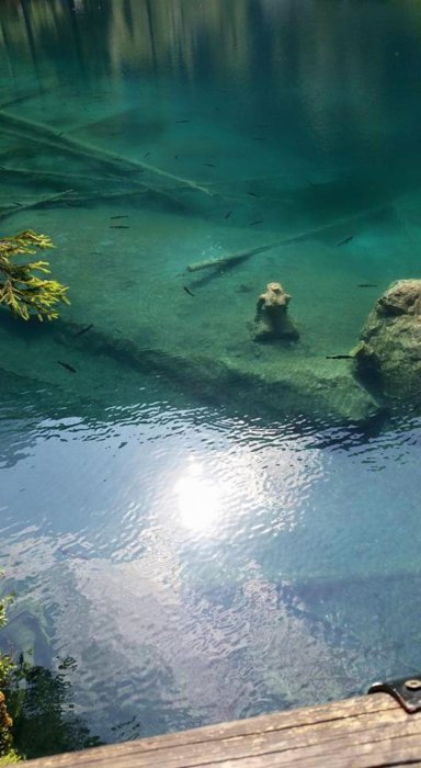 Blausee 09.jpg
