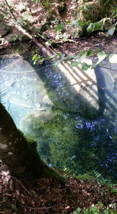 Blausee 10.jpg